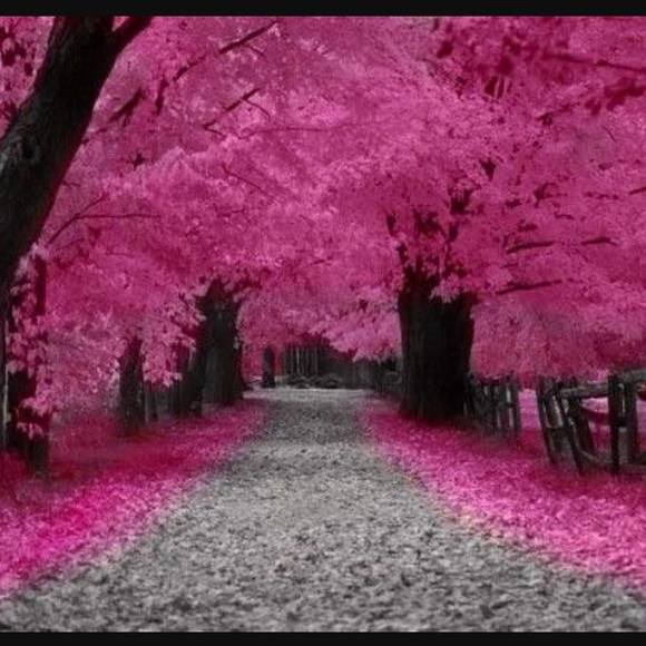 Meet your Posher, Staci - Picture 1 of 1